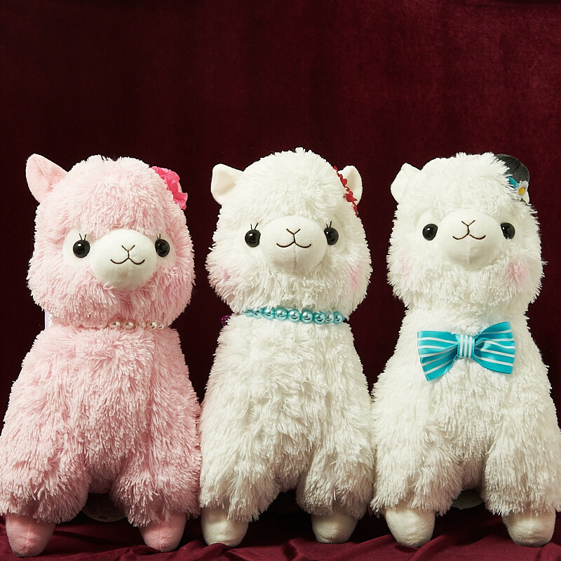 alpacasso collection