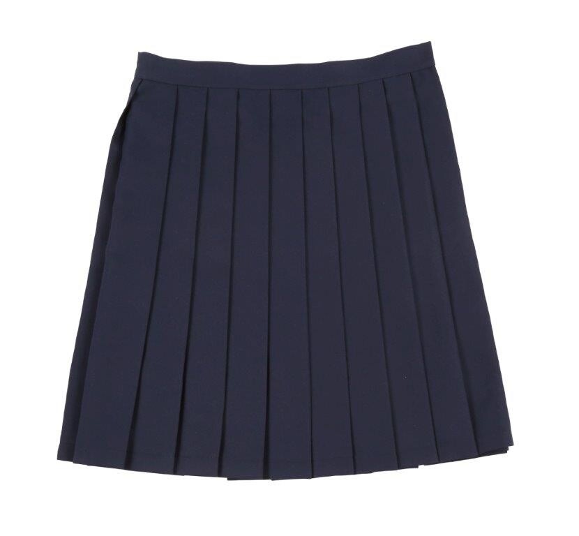 Teens Ever Navy Blue High School Uniform Skirt: Clearstone - Tokyo ...