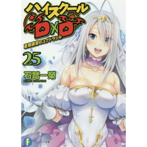 High School DxD Vol. 12 (Light Novel) 100% OFF - Tokyo Otaku Mode (TOM)