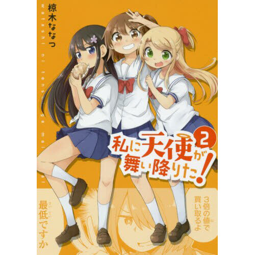 Wataten!: An Angel Flew Down to Me Vol. 2 - Tokyo Otaku Mode (TOM) - An Angel Flew Down To Me Manga