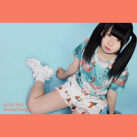 ACDC RAG Flamingo Crop Top: ACDC RAG - Tokyo Otaku Mode (TOM)