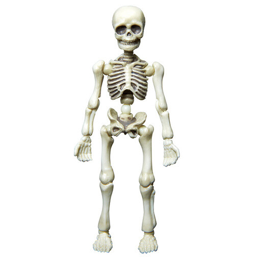 Posable Skeleton - Human 01