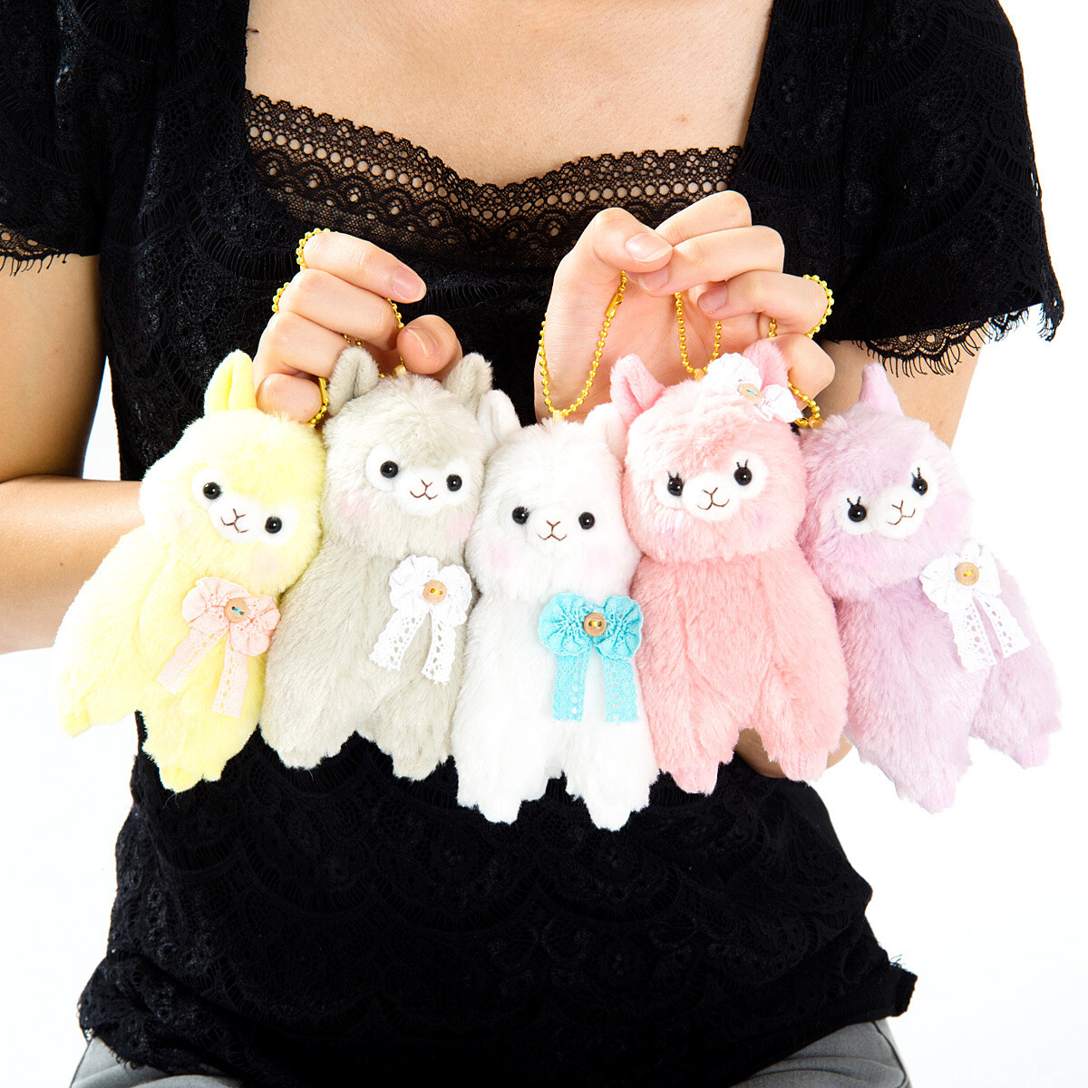 Alpacasso series sales