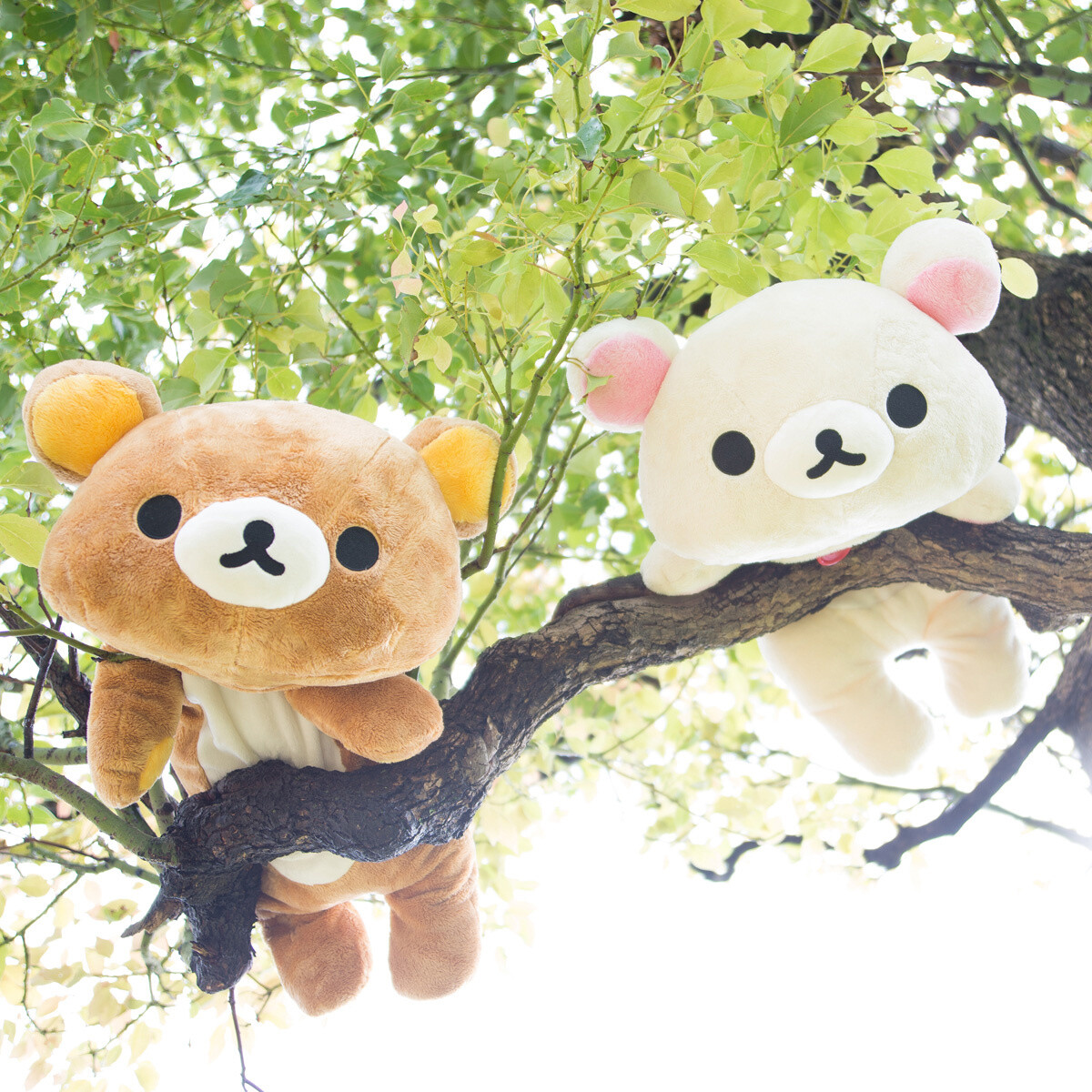 fuzzy rilakkuma plush