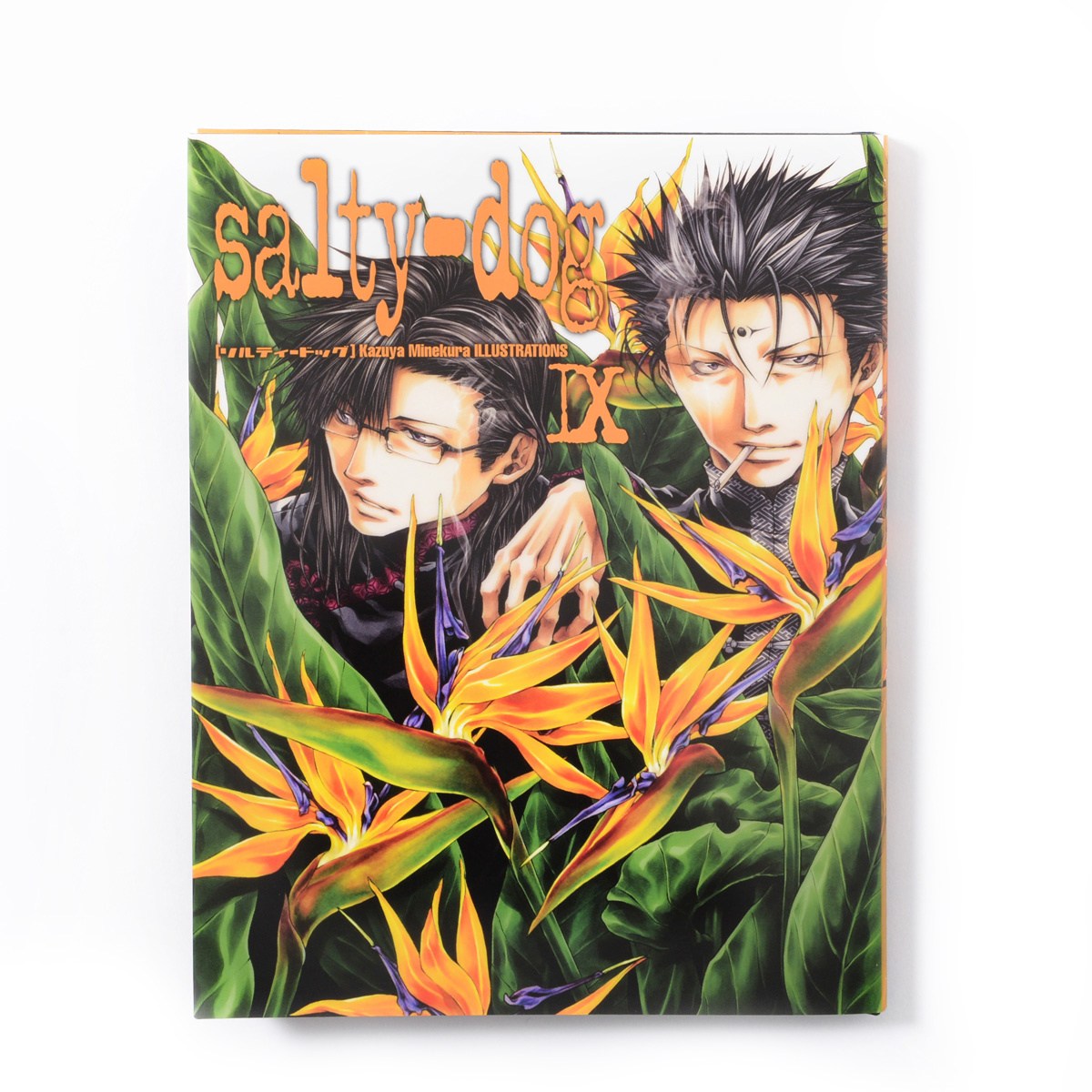 Salty-Dog Ⅸ: Kazuya Minekura Illustrations: Kazuya Minekura