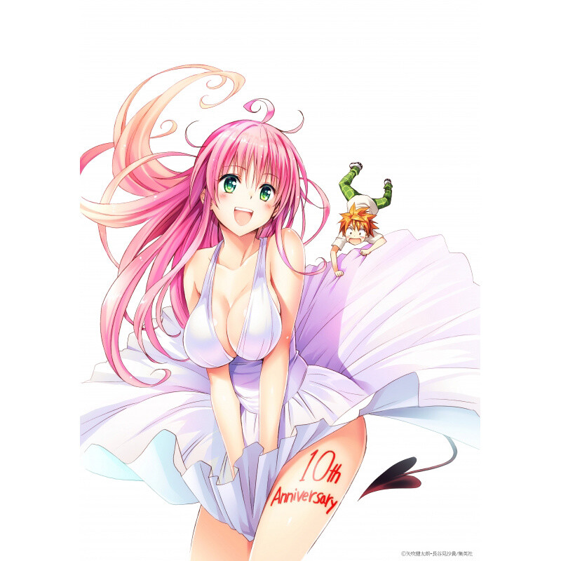 To Love-Ru Series 10th Anniversary Book - To Love-Ru Chronicle -  ISBN:9784087925173