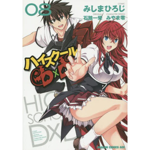 10 Manga Like High School DxD DX (Light Novel)