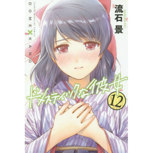 Domestic Girlfriend Official Derivative Work (Limited Edition) - Tokyo  Otaku Mode (TOM)