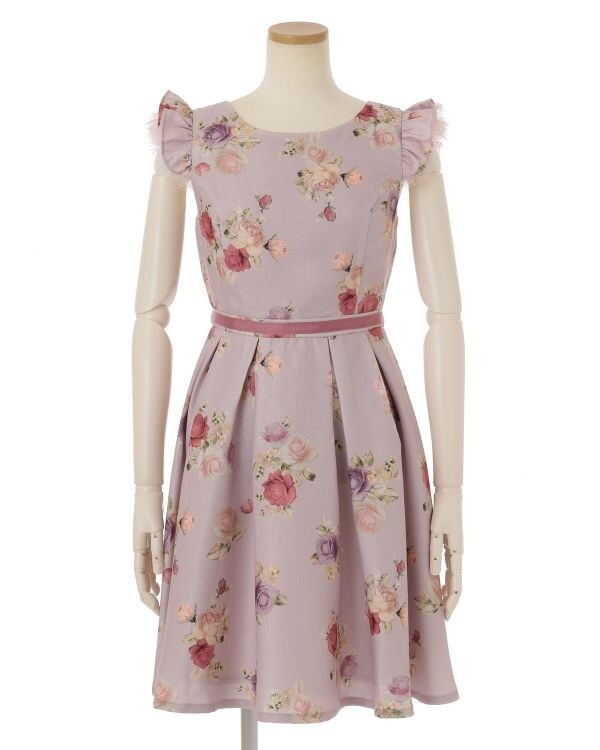 Lisa Rose Dress main image 1