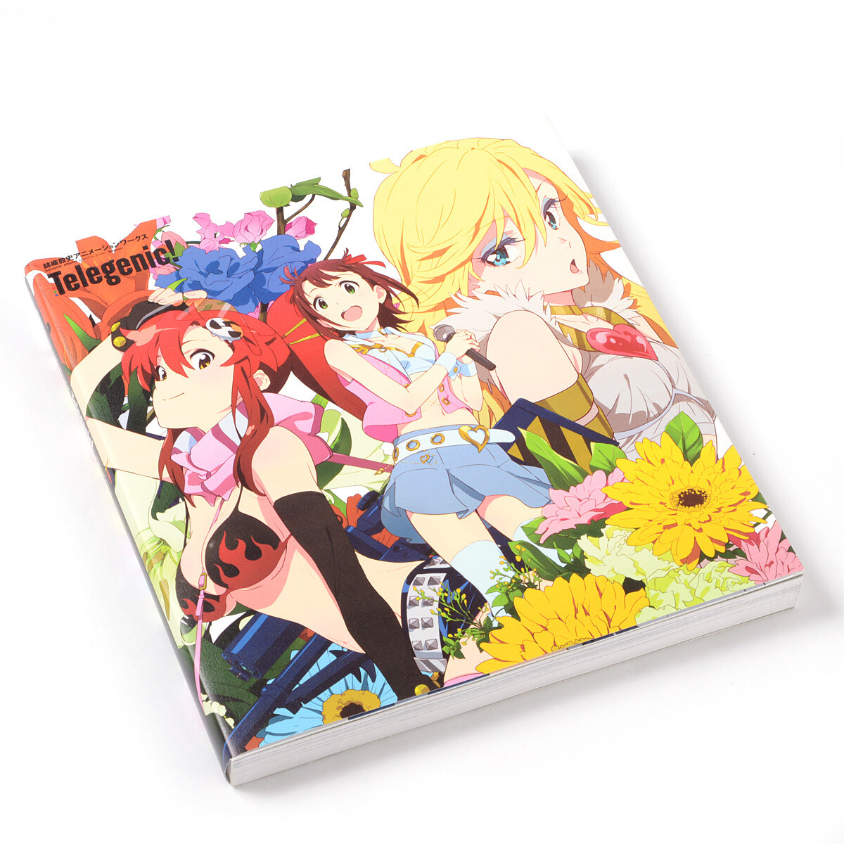 クズの本懐 Animation Staff Book Atsushi Nishigori Animation Works: Ichijinsha - Tokyo Otaku