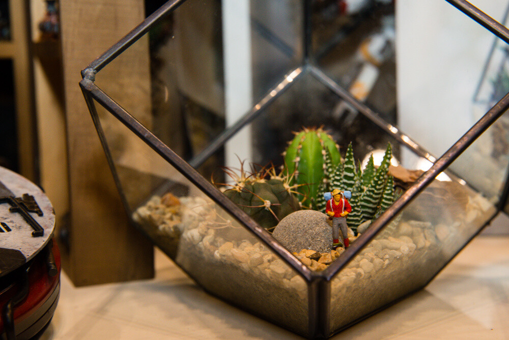 WonFes 2015 Summer Photo Collection! Part 1: Cool & Comical Edition 90