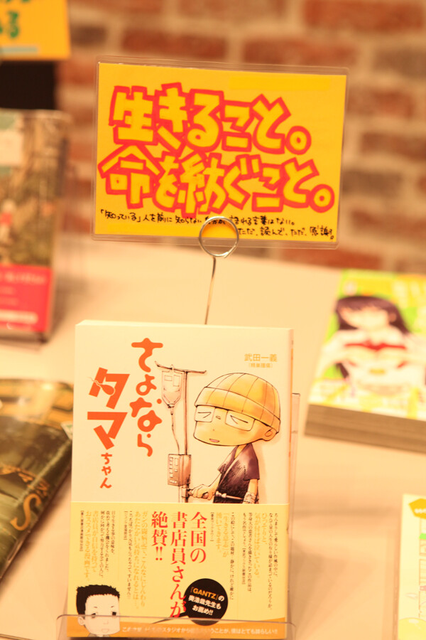 *The Bride’s Stories* Wins Cartoon Grand Prize 2014 3