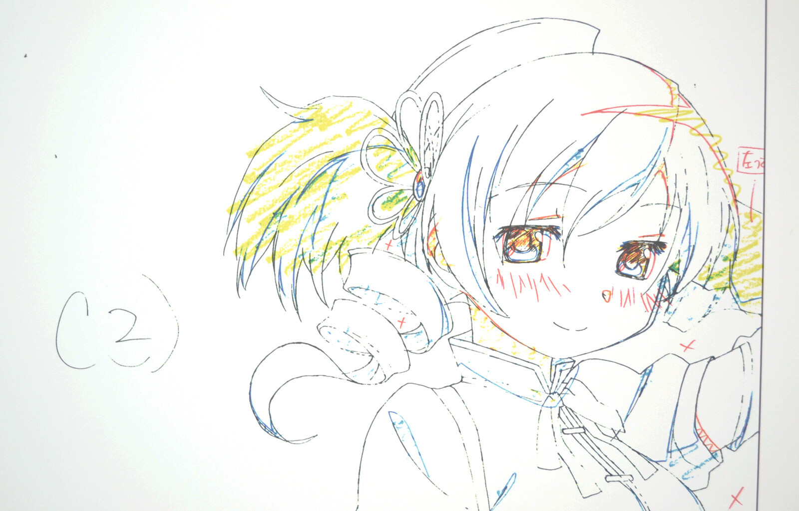 Fans are Dazzled by Madoka, the Savior of the World Past and Future, at Meiji University! 26