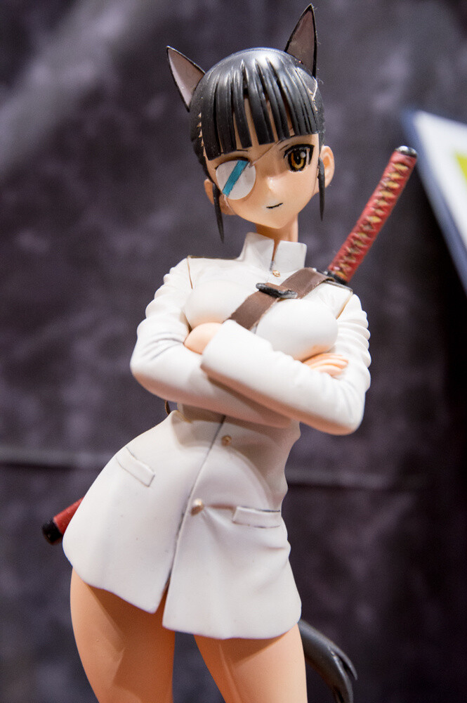 Looking Back at WonFes 2015 [Winter]! Part 2: Photo Collection of Cute and Sexy Figures! 62