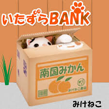 Cats in Boxes? Real Itazura Bank Photo & Movie Contest Site Finally Open to Public! 3