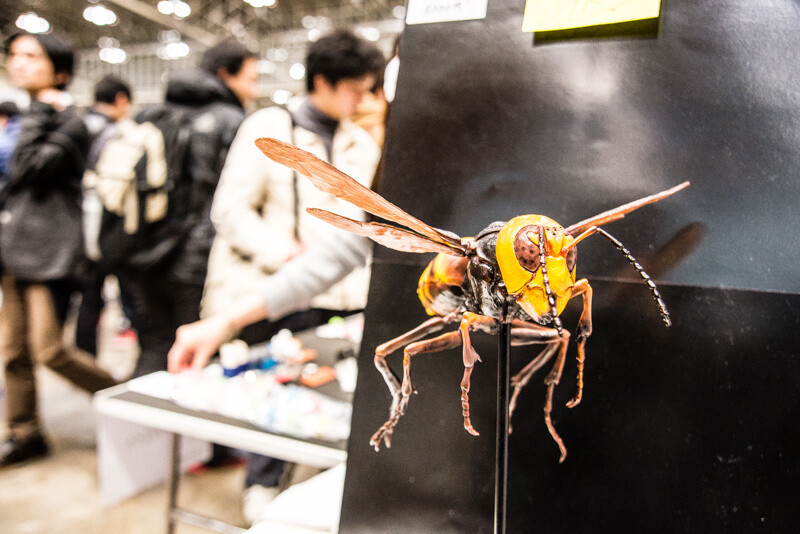 WonFes 2016 Winter Photo Collection! Part 1: Cool & Comical 75