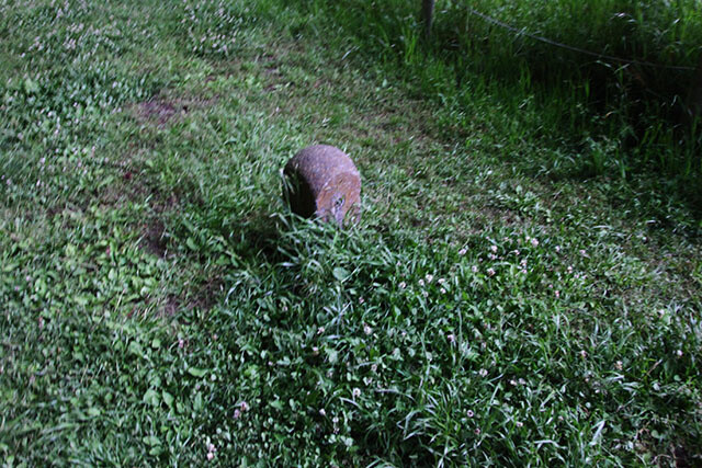 Turn Yourself Into a Powerful Wizard with a Homemade Projector Beam! 20