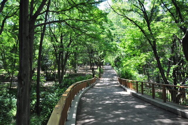 10 Beautiful Spots in Tokyo They Don't Tell You About [Ikemen Edition] 9