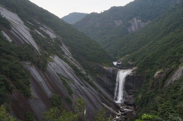 Top 5 Things to Do & See on Yakushima 2