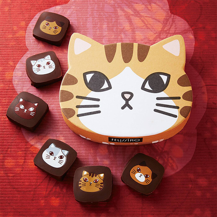 Cat Chocolates - Felissimo 1
