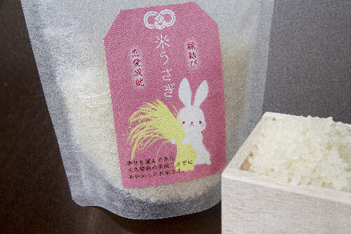 Visit Hiroshima's Rabbit Island For Cute Meals, Sweets, Bunny Goods and More! 7
