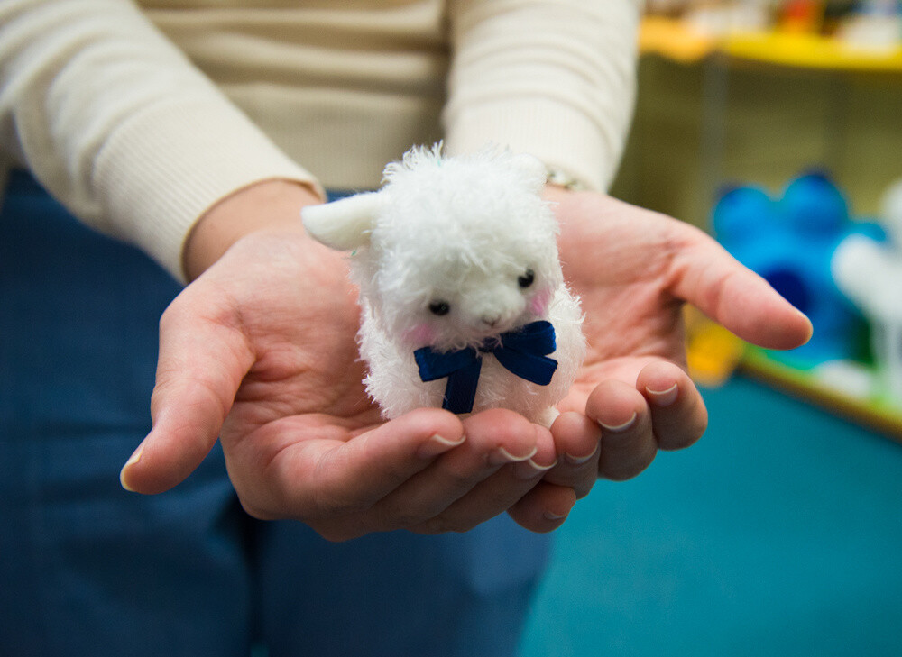 Makiba no Kids Alpacasso series 9