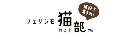 Discover the Joy of Keeping Cats with Sleeping Kitty Towels! 12