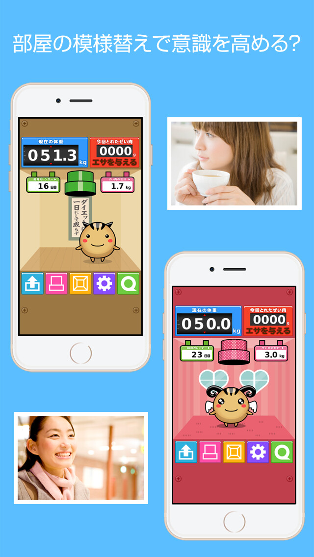 Want to raise your dieting awareness? Remodel your Dipet’s room! 3