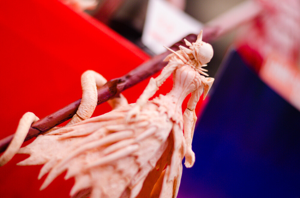 WonFes 2015 Summer Photo Collection! Part 1: Cool & Comical Edition 61