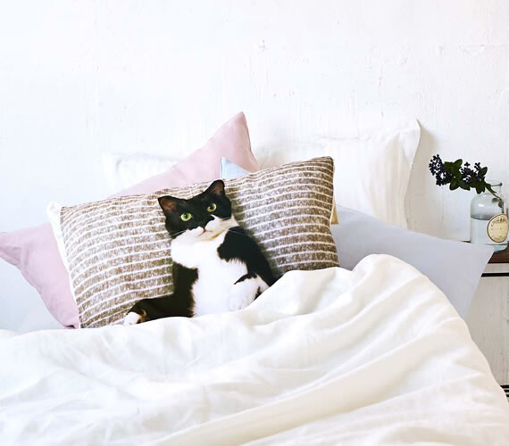 Lacking a Cat to Curl Up With? Fix That with Cute Kitty Pillow Covers! 0