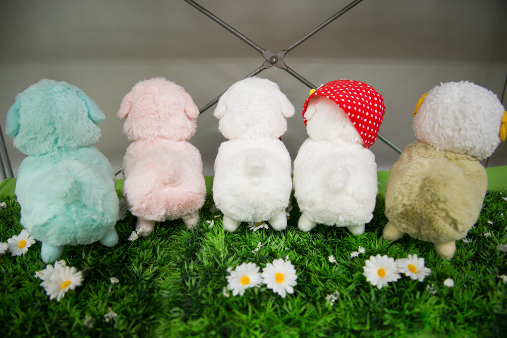Makiba no Kids Alpacasso series 2