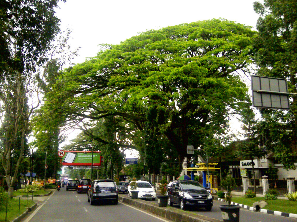 Otaku Life Around the World: Bandung, Indonesia 19