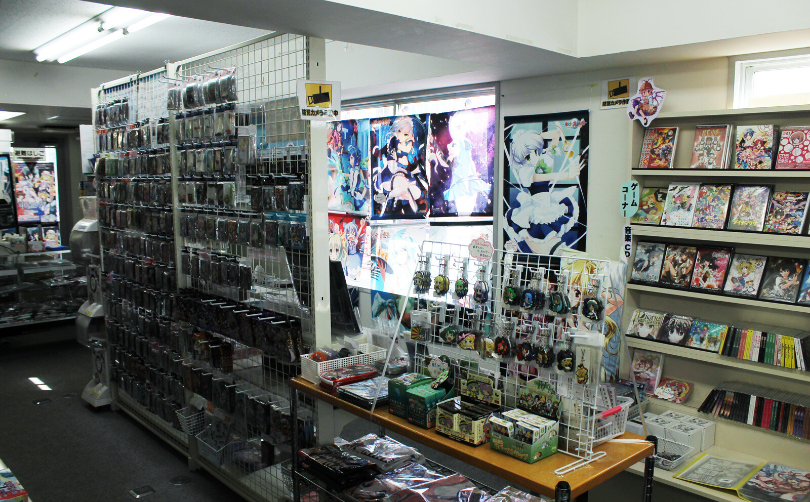 TOUHOU NAMINOAMAMIYA SURPARASHOP AKIHABARA: The Go-to Shop for Touhou Project Fans 12