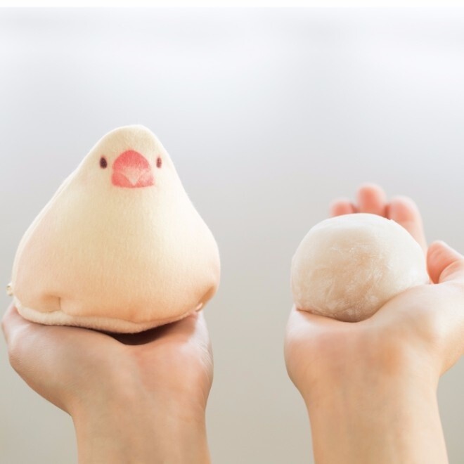 These Java Sparrow Pouches Are Sweet as Mochi! 0