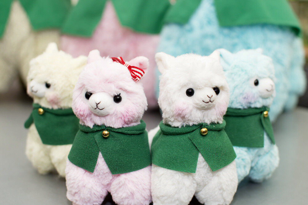 Advancing Alpacasso Corps! Sales Begin in August! 9