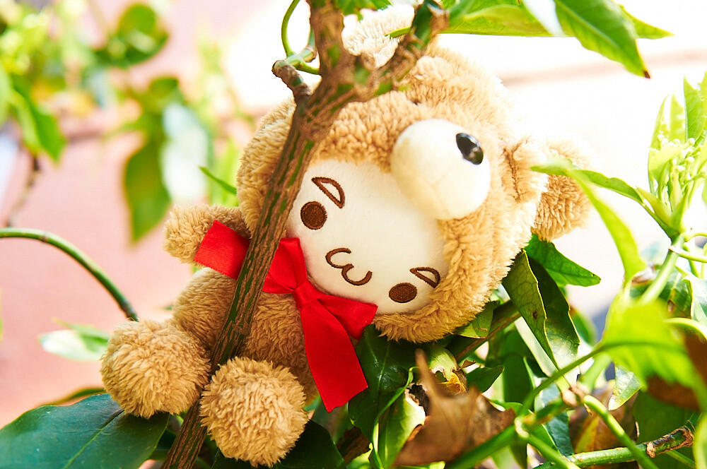 Kaomoji Kumagurumi 7