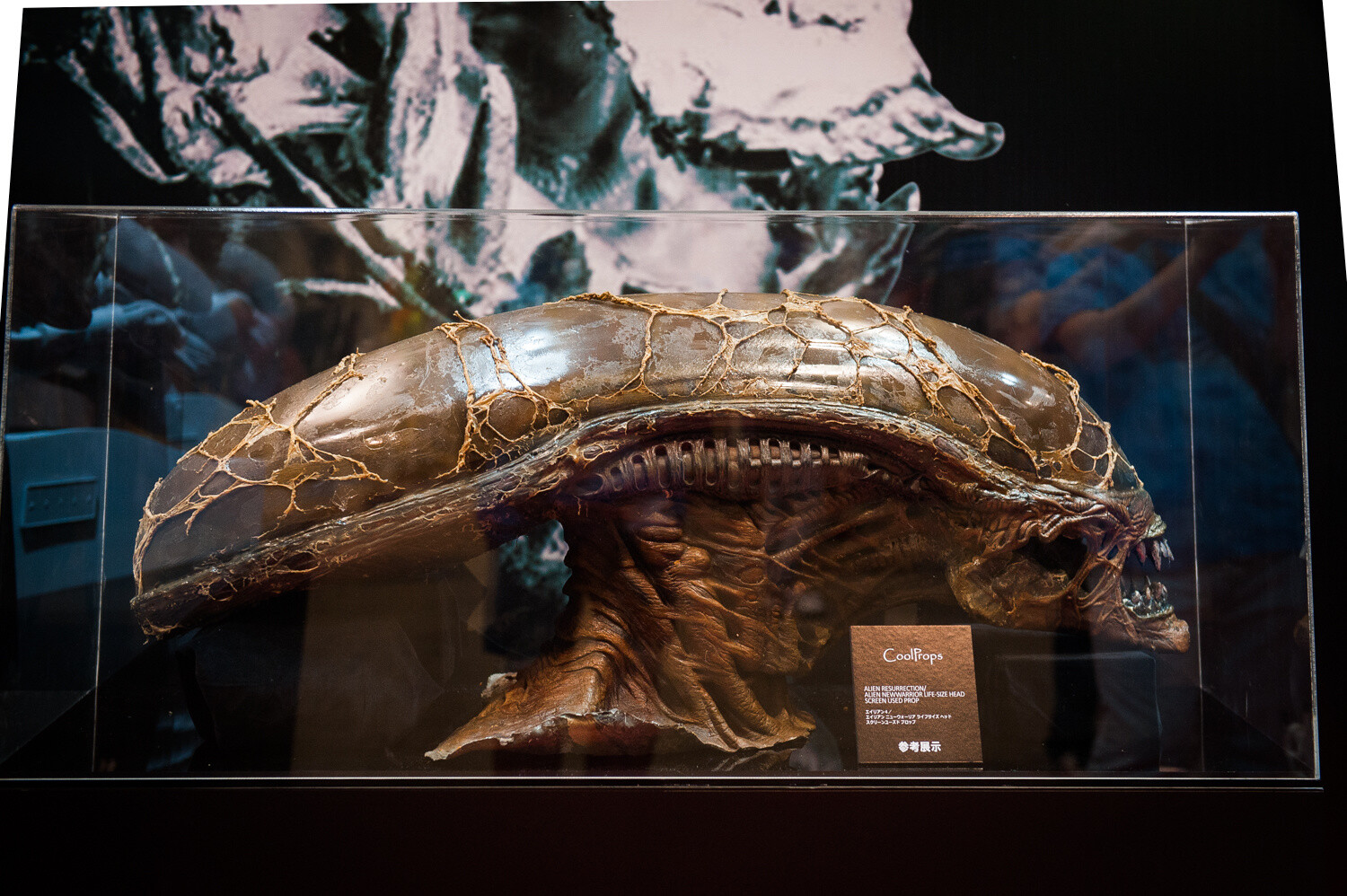 WonFes 2015 Summer Photo Collection! Part 1: Cool & Comical Edition 22