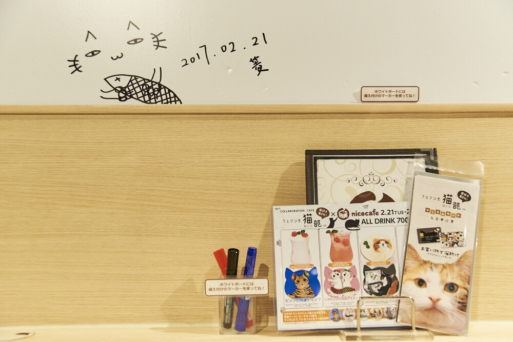 Felissimo Cat Club × nicocafe Collab Cafe: the Purrfect Place to Relax! [Photo Report] 29