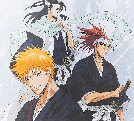 Bleach: Anime and Manga