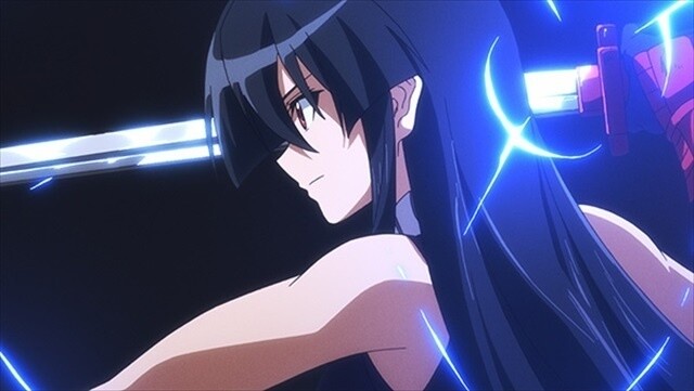 Various *Akame ga Kill!* Events Come to Akiba Including Materials Exhibit at Gamers Honten 2