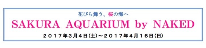 Dancing Petals and a Sea of Cherry Blossoms: Sakura Aquarium by Naked! 1