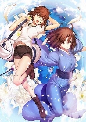 © Kinoko Nasu / Seikaisha, Aniplex Inc., Kodansha Ltd., Notes, Ufotable 0