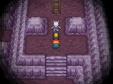 © 2013 Pokemon  © 1995-2013 Nintendo Co. / Creatures Inc. / Game Freak Inc. 6