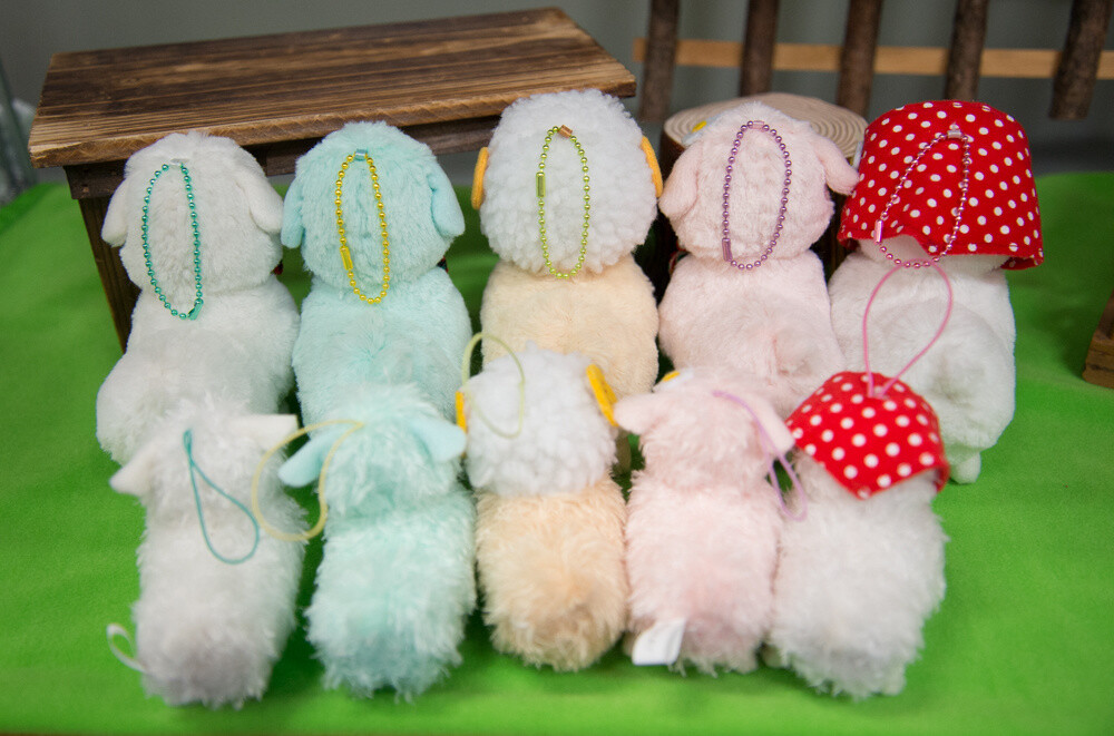 Makiba no Kids Alpacasso series 7