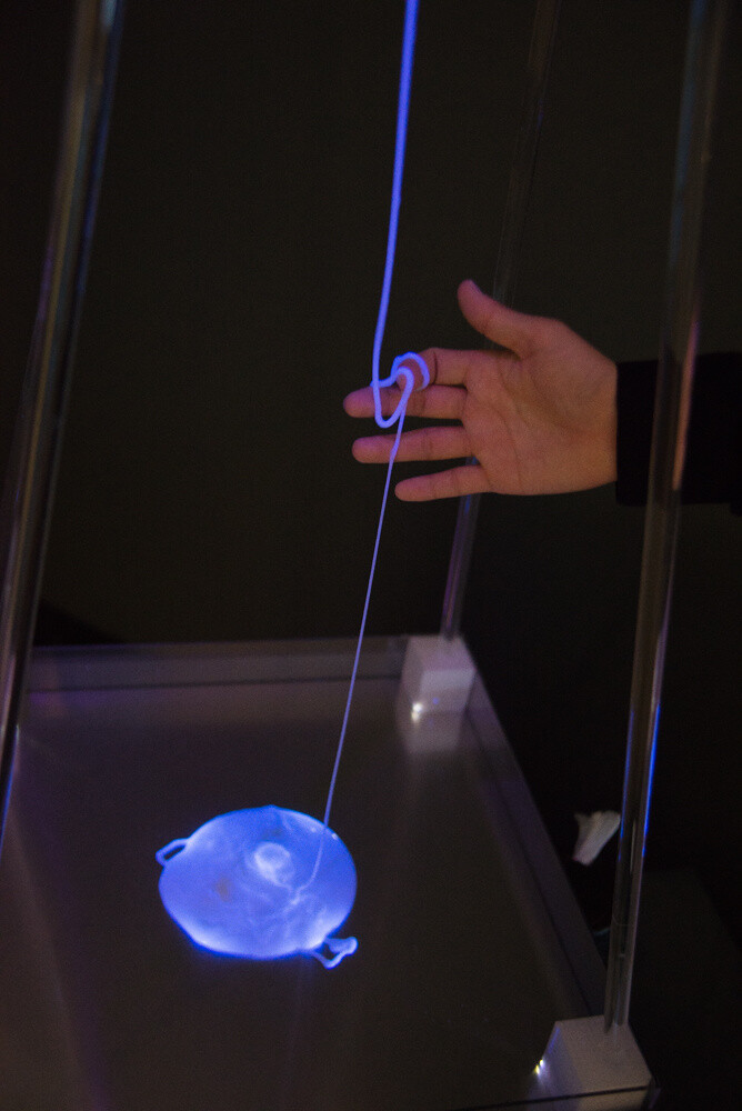 Review: The 18th Japan Media Arts Festival - Envision the Future Through Art 29