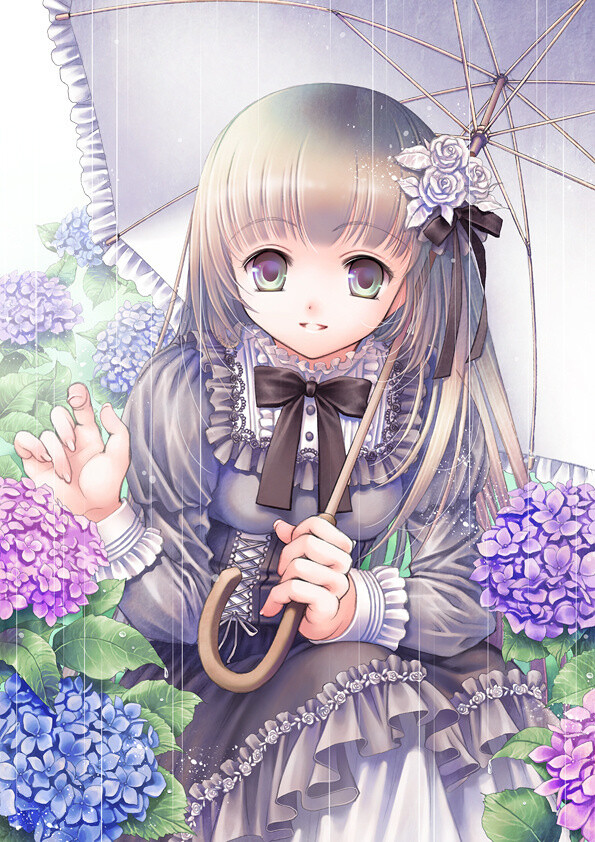 You and Hydrangea 4