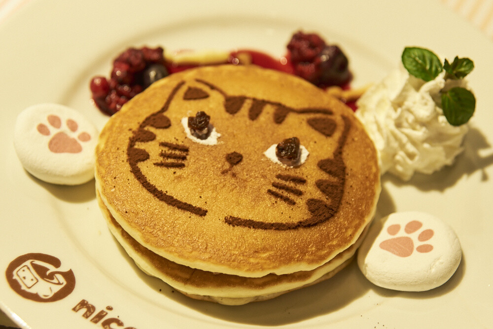 Felissimo Cat Club × nicocafe Collab Cafe: the Purrfect Place to Relax! [Photo Report] 19