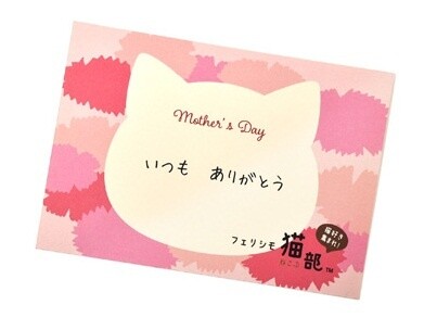 Adorable Kitty-Themed Gift Set Raises the Bar for Mother's Day Gifts! 4