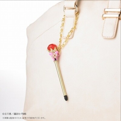 © Megumi Tachikawa, TMS 4