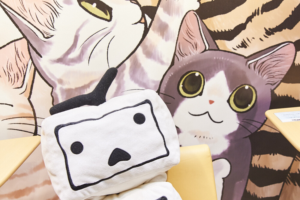 Felissimo Cat Club × nicocafe Collab Cafe: the Purrfect Place to Relax! [Photo Report] 4